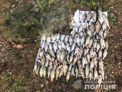  У Кагарлицькому районі затримано браконьєра (ФОТО)