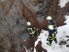 У Переяславі на річці Альта потонув чоловік (ФОТО)