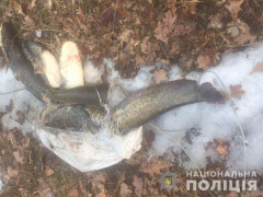 У Чоронобилі спіймали рибалку з незаконною здобиччю