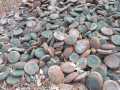 У Білій Церкві в лісі знайшли гору викинутого хліба 