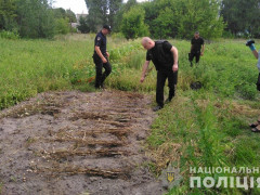 У Поліському районі чоловік у себе на подвір’ї вирощував мак (ФОТО)
