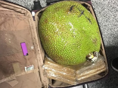 Контрабандист через аеропорт "Бориспіль" намагався провезти 350 кг екзотичних фруктів