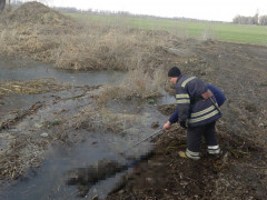 У Васильківському районі зі ставка витягли труп жінки 