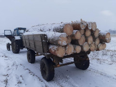 У Макарівській ОТГ жителі вирішили заробити грошей на незаконній вирубці лісу