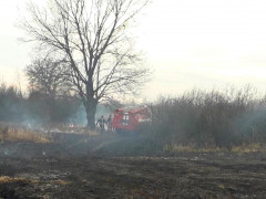 На Київщині вогнеборці понад 20 разів ліквідовували пожежі в природних екосистемах