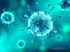 На Київщині виявили понад 200 нових випадків захворювання на коронавірус