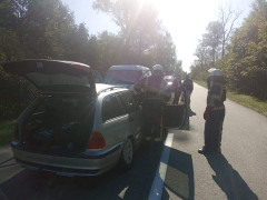 Смертельне зіткнення: у Поліському районі автівка протаранила червонокнижну тварину