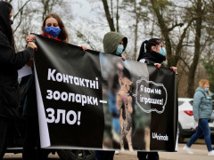 Під Києвом активісти провели мітинг проти контактного зоопарку