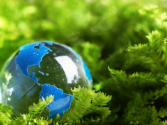 Київщина долучилася до глобальної екологічної акції "Озеленення планети" (ФОТО)