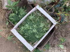 Мешканці Обухівщини зберігали вдома наркотики