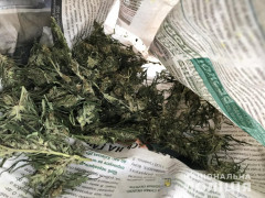 У мешканця Обухівщини вилучили велику кількість наркотиків