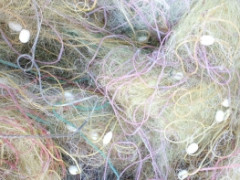 Біля Вишгорода рибоохоронний патруль сокирою порубав браконьєрські сітки (ФОТО)