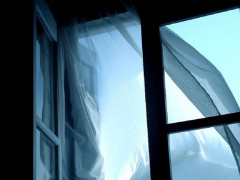 Під столицею дитина випала з вікна багатоповерхівки (ФОТО)