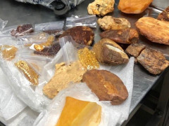 У "Борисполі" прикордонники затримали українця з валізою бурштину (ВІДЕО)