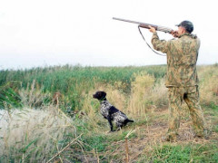 На Київщині розпочинається сезон полювання