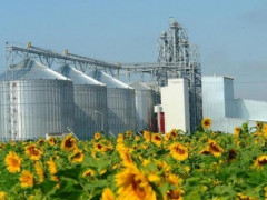 У Кагарлику побудують сучасний насіннєвий завод