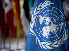 Представники ООН закликали правоохоронців ретельно розслідувати справу про зґвалтування в Кагарлику