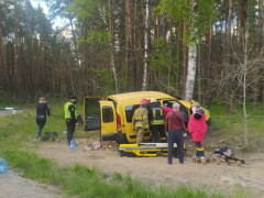 Унаслідок ДТП поблизу Бородянки водія затиснуло в автівці