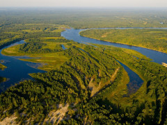 У Чорнобилі науковці проводять дослідження живих організмів у водоймах