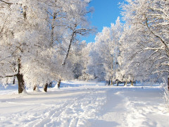 Прогноз погоди для жителів Київщини на 13-те грудня