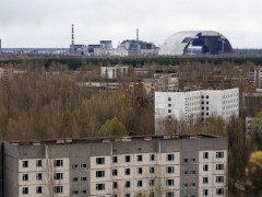 З зони відчуження ЧАЕС поліція евакуювала самоселів
