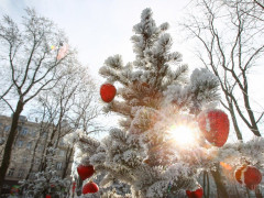 Погода для жителів Київщини та столиці на 1-ше січня 
