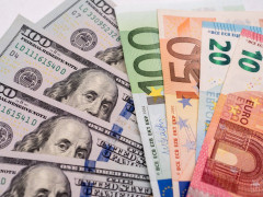 У Сквирі під приводом обміну валюти зловмисник обікрав жінку