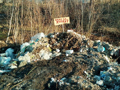 У річку Іква потрапили стоки з аеропорту "Бориспіль" (ФОТО)