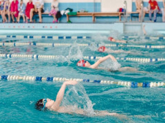 У Броварах будуть змагатися за першість у чемпіонаті Київщини з плавання