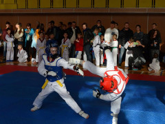 У Борисполі відбувся перший відкритий чемпіонат з олімпійського тхеквондо