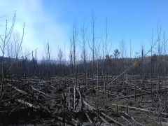 Рятувальники намагаються дістатися до найскладнішого осередку пожежі в Чорнобильській зоні