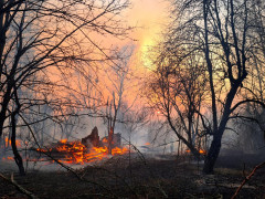 У Чорнобильській зоні пожежа знищила 30% туристичних об'єктів