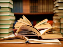 У Білій Церкві чехи відкрили міжнародну літню школу 