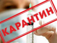  На Переяславщині через сказ оголошено карантин