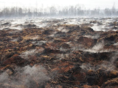 За рік кількість пожеж на торфовищах Київщини зменшилася на 90%