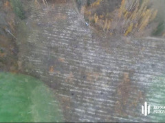 Вирубка лісу на 13 млн грн: підозрюють посадовців Київщини (ФОТО)