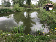 На Броващині п’яний чоловік втопився у приватному озері