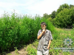 На Обухівщині чоловік доглядав понад 2 тис кущів коноплі (ФОТО, ВІДЕО)