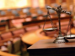 У Софіївській Борщагівці підприємець самовільно привласнив земельні ділянки