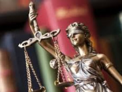 Прокуратура Київщини довела вину керівника ветеринарної медицини