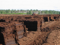 У Бородянському районі зупинили незаконний видобуток торфу