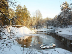 Погода на Київщині та у столиці 3-го березня