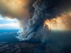 Західні райони Київщини постраждають від лісових пожеж у Чорнобилі (ВІДЕО)