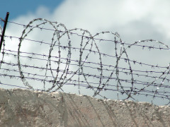 У Бучі у виправній колонії засуджених утримують в камерах із антисанітарними умовами