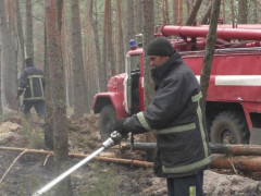 У районі ЧАЕС пожежники борються із тлінням торфовищ
