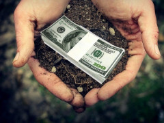 Ціни на землю під житлове будівництво у передмісті Києва коливаються від 500 до 5 тис дол за сотку