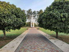 У Славутичі висадили 170 кущів троянд (ФОТО)