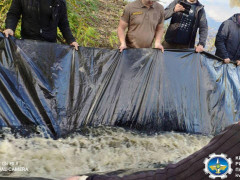 На Вишгородщині у Десну випустили майже пів тонни риби (ФОТО)