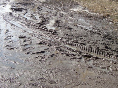 В одному з сіл Бучанської ОТГ люди тонуть у багнюці (ВІДЕО)