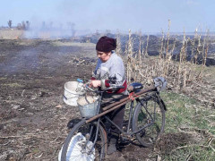 Поблизу Гостомеля жінка спалила поле (ФОТО, ВІДЕО)